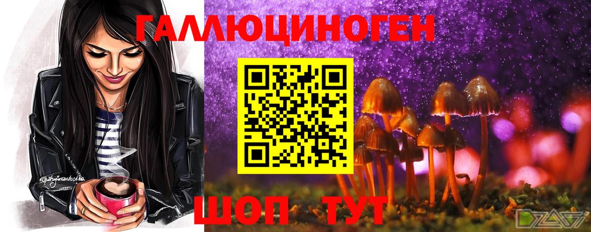 Новотроицк  Псилоцибиновые грибы Cubensis  Вход с VPN 